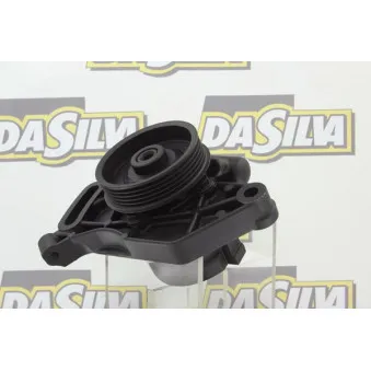 Pompe hydraulique, direction DA SILVA DP2384