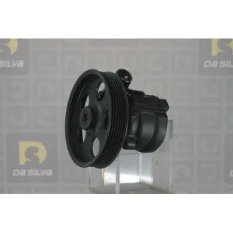 Pompe hydraulique, direction DA SILVA DP2396