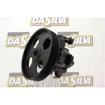 Pompe hydraulique, direction DA SILVA DP2439