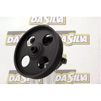 Pompe hydraulique, direction DA SILVA DP2484