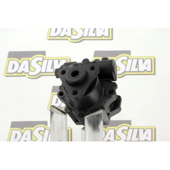 Pompe hydraulique, direction DA SILVA DP2529
