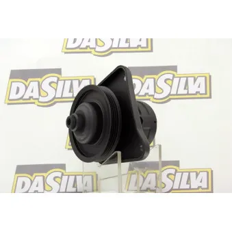 Pompe hydraulique, direction DA SILVA DP2588