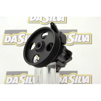Pompe hydraulique, direction DA SILVA DP2609