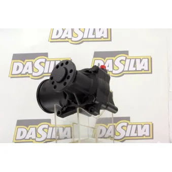 Pompe hydraulique, direction DA SILVA DP2613