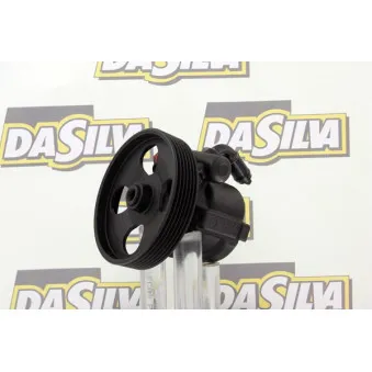 Pompe hydraulique, direction DA SILVA DP2633