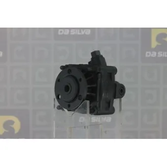 Pompe hydraulique, direction DA SILVA DP2645