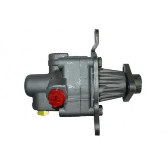 Pompe hydraulique, direction DA SILVA DP2766