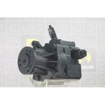 Pompe hydraulique, direction DA SILVA DP2789