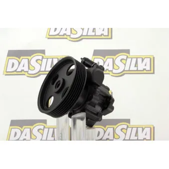 Pompe hydraulique, direction DA SILVA DP2813