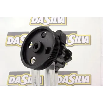 Pompe hydraulique, direction DA SILVA DP2816