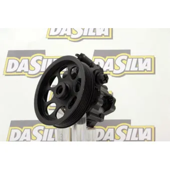 Pompe hydraulique, direction DA SILVA DP2874