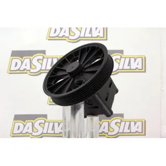 Pompe hydraulique, direction DA SILVA DP2876