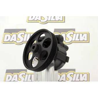 Pompe hydraulique, direction DA SILVA DP2882