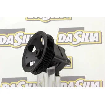 Pompe hydraulique, direction DA SILVA DP2888