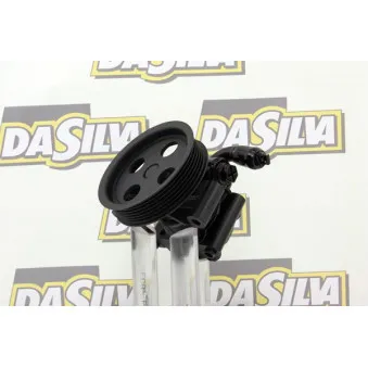 Pompe hydraulique, direction DA SILVA DP2889