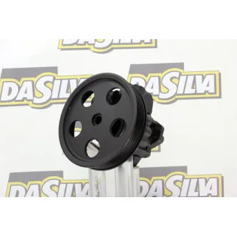 Pompe hydraulique, direction DA SILVA DP2906