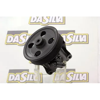 Pompe hydraulique, direction DA SILVA DP2907