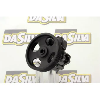 Pompe hydraulique, direction DA SILVA DP2909
