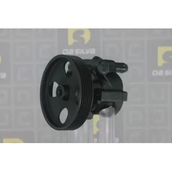 Pompe hydraulique, direction DA SILVA DP2919