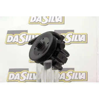 Pompe hydraulique, direction DA SILVA DP2942