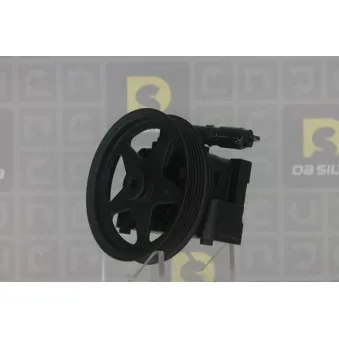 Pompe hydraulique, direction DA SILVA DP2943