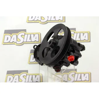 Pompe hydraulique, direction DA SILVA DP2949