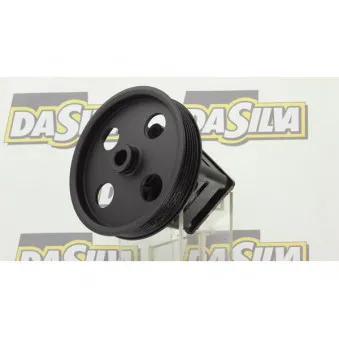 Pompe hydraulique, direction DA SILVA DP2976