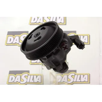 Pompe hydraulique, direction DA SILVA DP2988