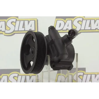 Pompe hydraulique, direction DA SILVA DP3009
