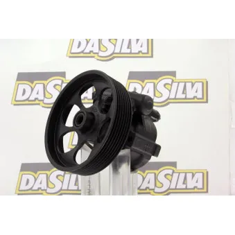 Pompe hydraulique, direction DA SILVA DP3020