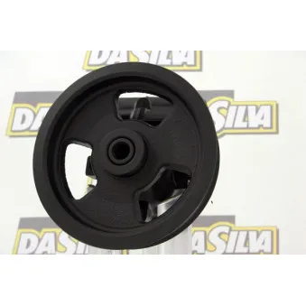 Pompe hydraulique, direction DA SILVA DP3021