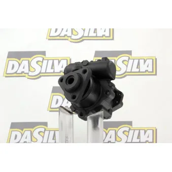 Pompe hydraulique, direction DA SILVA DP3038