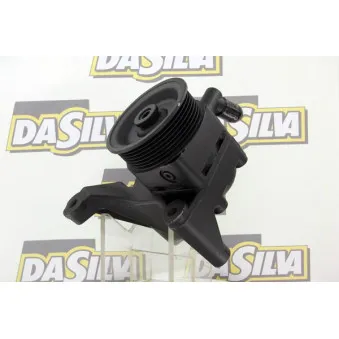 Pompe hydraulique, direction DA SILVA DP3042