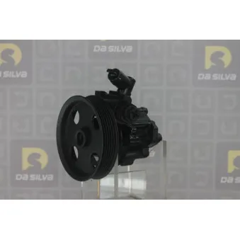 Pompe hydraulique, direction DA SILVA DP3054