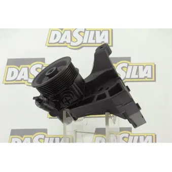 Pompe hydraulique, direction DA SILVA DP3078