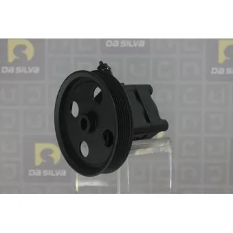 Pompe hydraulique, direction DA SILVA DP3147