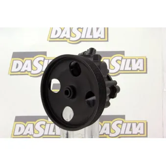 Pompe hydraulique, direction DA SILVA DP3155