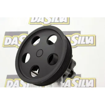 Pompe hydraulique, direction DA SILVA DP3171