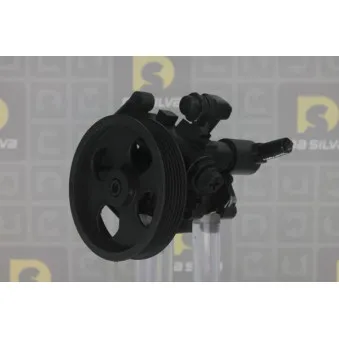 Pompe hydraulique, direction DA SILVA DP3180