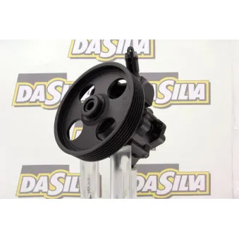 Pompe hydraulique, direction DA SILVA DP3188