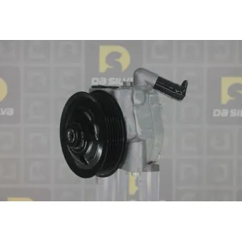 Pompe hydraulique, direction DA SILVA DP3192