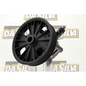 Pompe hydraulique, direction DA SILVA DP3198