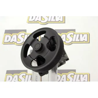 Pompe hydraulique, direction DA SILVA DP3203