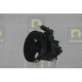 Pompe hydraulique, direction DA SILVA DP3219