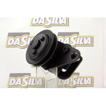 Pompe hydraulique, direction DA SILVA DP3234
