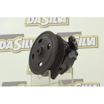 Pompe hydraulique, direction DA SILVA DP3248