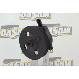 Pompe hydraulique, direction DA SILVA DP3249