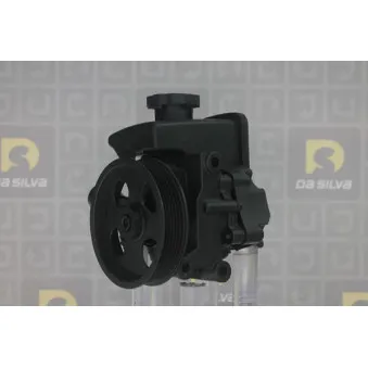 Pompe hydraulique, direction DA SILVA DP3259