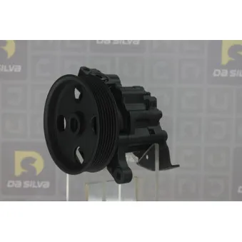 Pompe hydraulique, direction DA SILVA DP3260