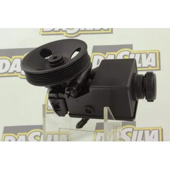 Pompe hydraulique, direction DA SILVA DP3271